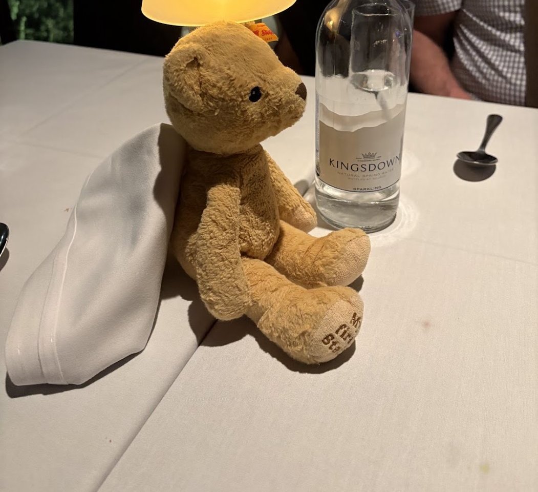 Teddy at the table during a family dinner out