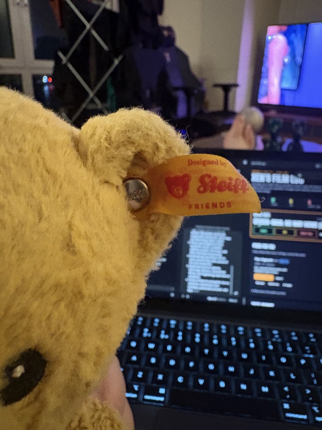 Close-up of Teddy’s Steiff ear button and printed tag